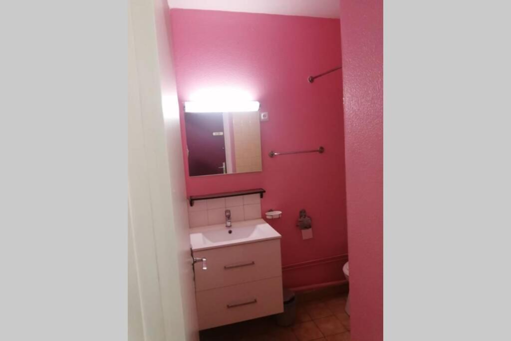 Studio Avec Vue Imprenable Sur La Vallee Serviettes Et Draps Non Inclus Saint-Étienne-en-Dévoluy エクステリア 写真